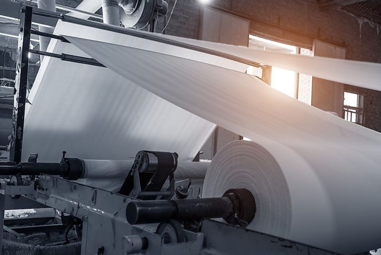 Environmental Impact of Paper